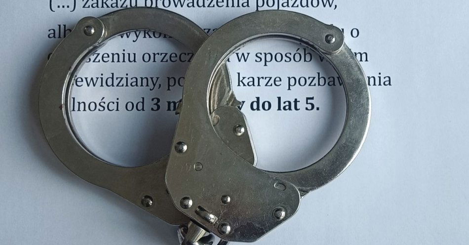 zdjęcie: Wsiedli za kółko chociaż nie powinni. Wśród nich był 83-latek z zakazem kierowania pojazdami / fot. KPP w Sokołowie Podlaskim