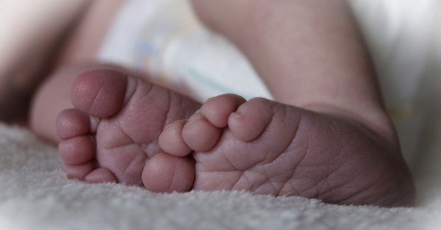 Przedłużony areszt dla ojca i córki podejrzanych o zabójstwo noworodków na Kaszubach