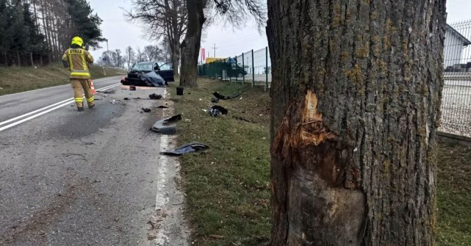 zdjęcie: Zjechał na pobocze i uderzył w drzewo. Policjanci apelują o rozwagę ! / fot. KPP w Sztumie