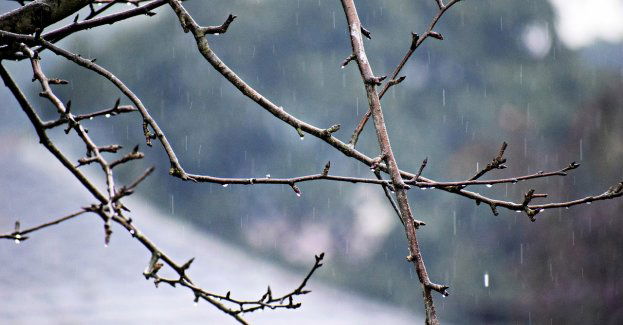 Pogoda Dzierżoniów