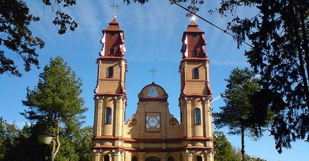 Hajnówka: otwórz bramę do Puszczy Białowieskiej