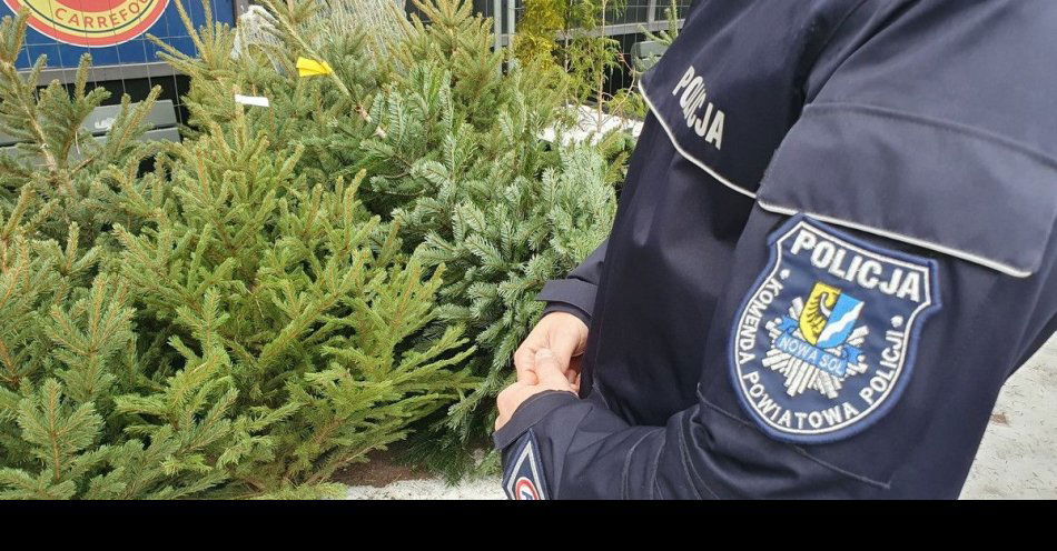 zdjęcie: Święta bezpieczne: rady policji przed zakupami i podróżą / fot. KPP Nowa Sól