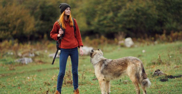 Szczęśliwy finał zaginięcia 84-latki dzięki reakcji świadków
