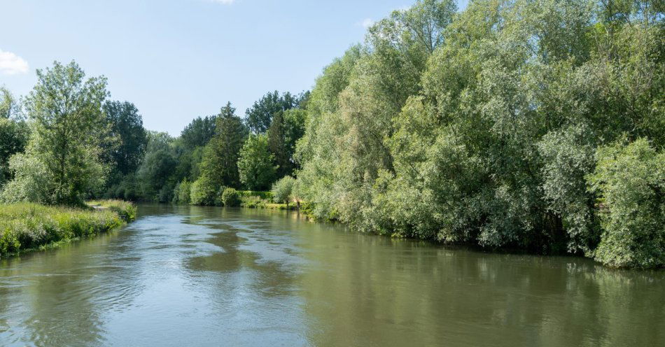 zdjęcie: Naukowcy zbierają dane dot. jakości wód w rzekach i jeziorach / v47190067