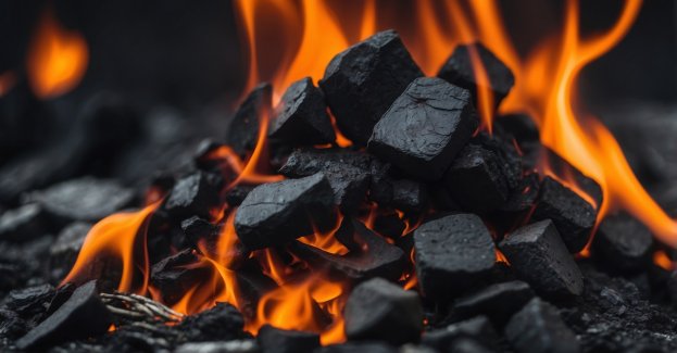 PGG uruchomiła e-sklep z węglem dla klientów biznesowych i instytucjonalnych