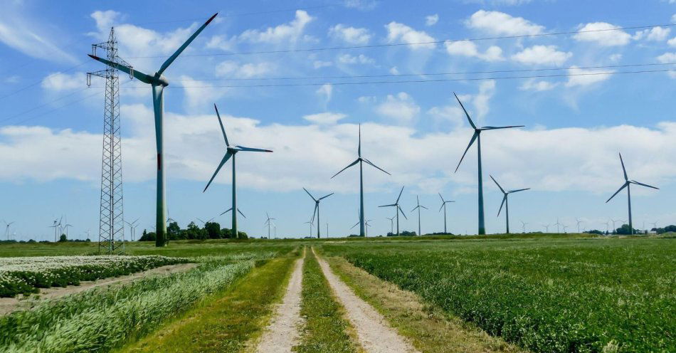 zdjęcie: Polska może być liderem w energetyce wiatrowej / v23280009