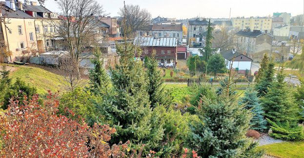 Grójec: miasto nad Molnicą