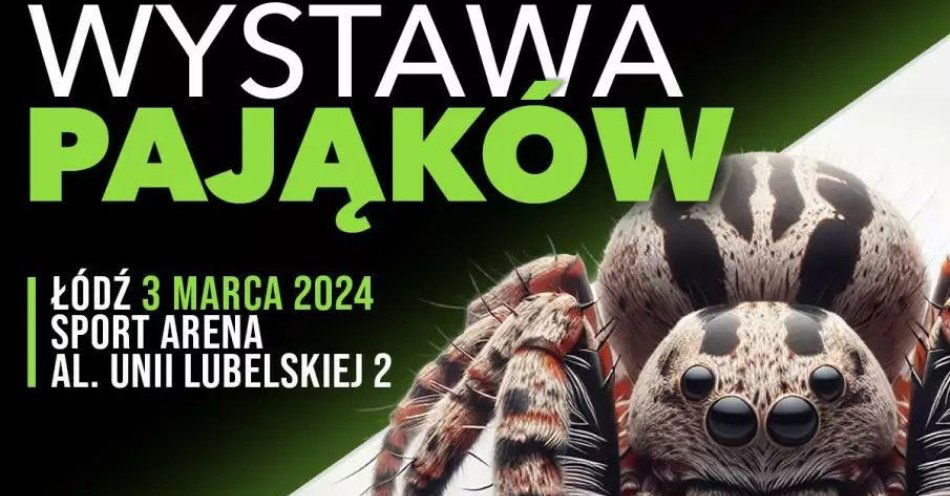 zdjęcie: Wystawa pająków - ZooEgzotyka / kupbilecik24.pl / Wystawa pająków - ZooEgzotyka