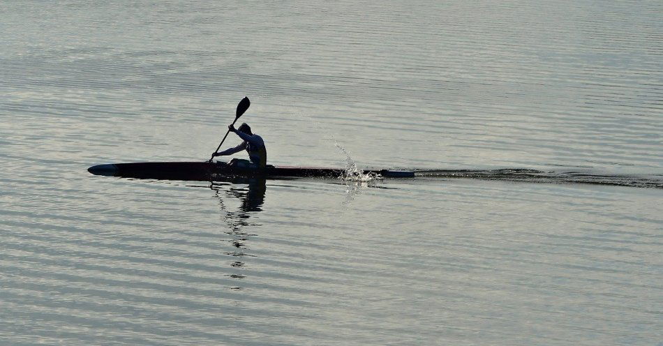 zdjęcie: MP w wioślarstwie - Płomiński pogodził medalistów olimpijskich / pixabay/8408074