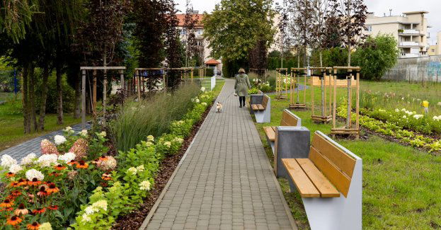 Chcesz przed blokiem miniogród z ławeczką? Złóż wniosek razem z sąsiadami