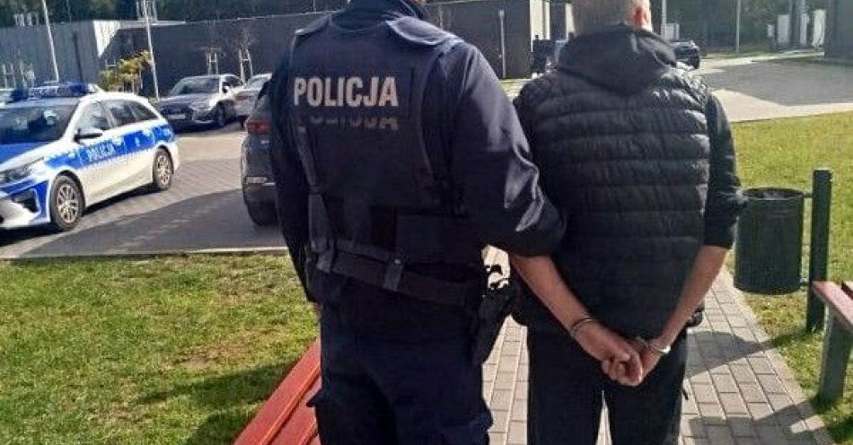 zdjęcie: Poszukiwany europejskim nakazem aresztowania zatrzymany w Pustelniku / fot. KPP w Mińsku Mazowieckim