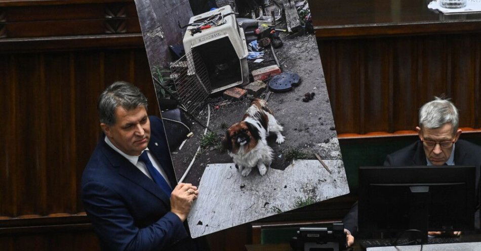zdjęcie: Kluby koalicji chcą odrzucenia weta ustawy łańcuchowej; PiS i Konfederacja - prac nad projektem prezydenta / Warszawa, 17.12.2025. Poseł PiS Piotr Kaleta przemawia na sali obrad Sejmu, 17 bm. Sejm zajmuje się sprawozdaniem Komisji Nadzwyczajnej dot. wniosku prezydenta RP o ponowne rozpatrzenie ustawy o zmianie ustawy o ochronie zwierząt. (mr) PAP/Piotr Nowak