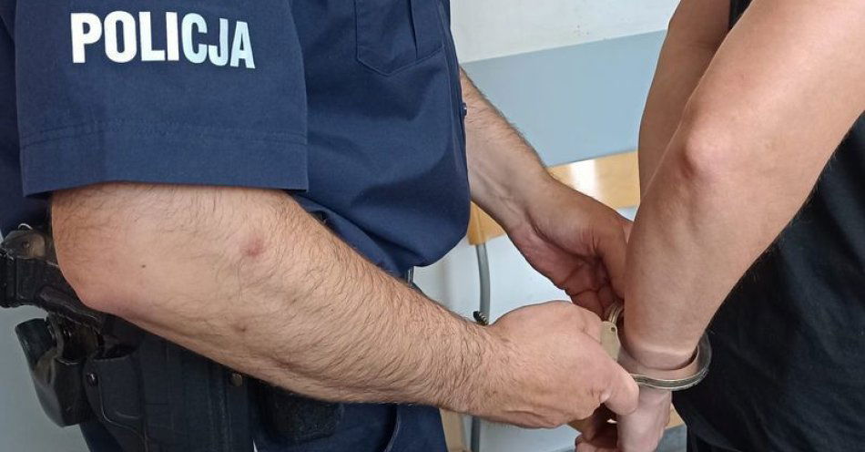 zdjęcie: Kradł katalizatory i paliwo z zaparkowanych pojazdów. Został zatrzymany / fot. KMP w Jeleniej Górze