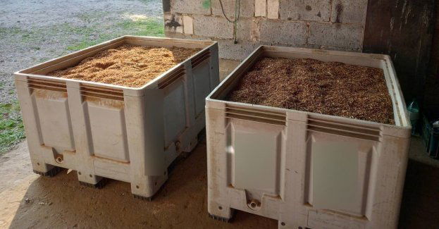 Prawie 2 tony wyrobów tytoniowych zabezpieczyli sochaczewscy policjanci