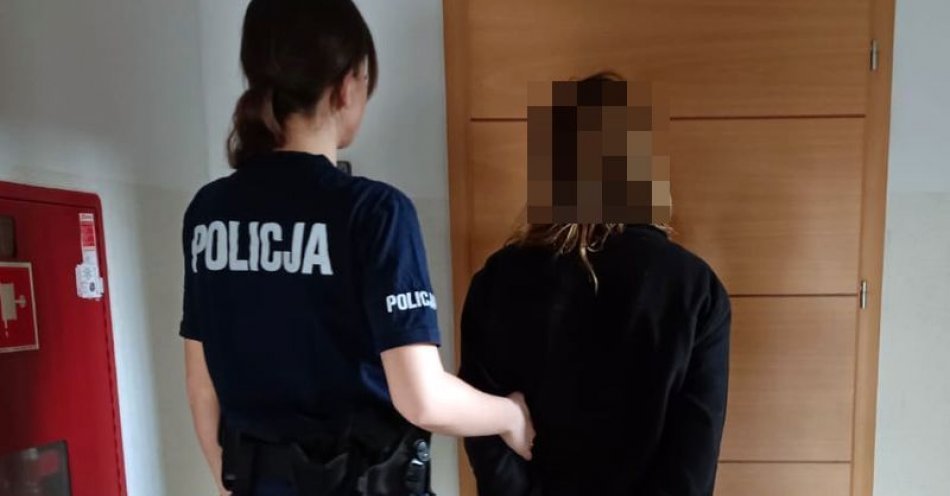 zdjęcie: Nietrzeźwa 35-latka wjechała samochodem w ogrodzenie, dodatkowo proponowała policjantom łapówkę / fot. KPP w Kartuzach