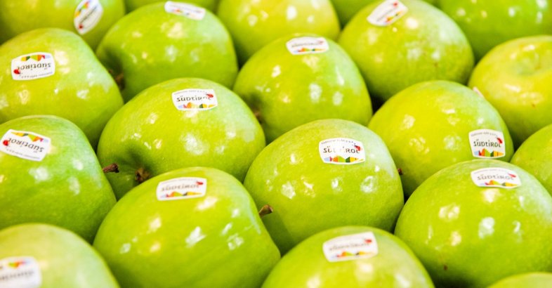zdjęcie: Analiza cen: Jabłka w sklepach zdrożały o ponad 46%. Dla przykładu, banany potaniały o 4% / fot. nadeslane