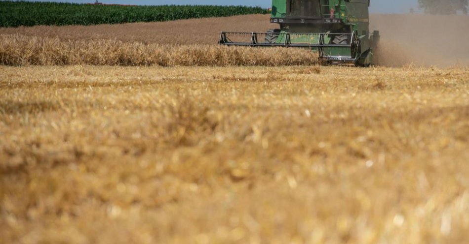 zdjęcie: W tym roku zbiory zbóż w Polsce na poziomie 32 mln ton / fot. PAP