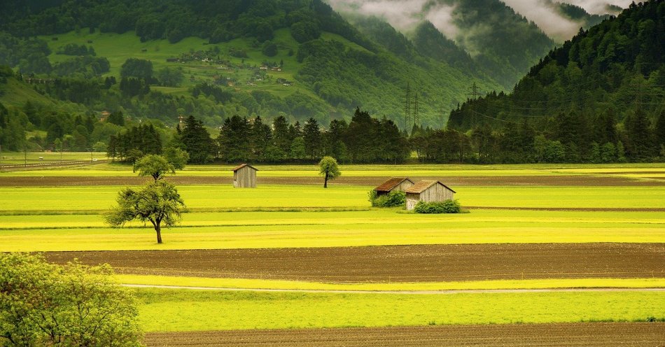 zdjęcie: W konkursie Piękna Wieś wygrało Miechucino. Jest najpiękniejszą wsią w powiecie kartuskim / pixabay/176602