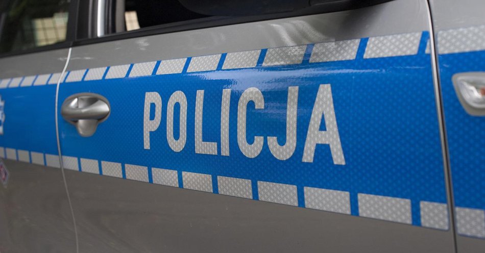 zdjęcie: Śląska Policja otrzyma pieniądze na sprzęt i wyposażenie / pixabay/4261161