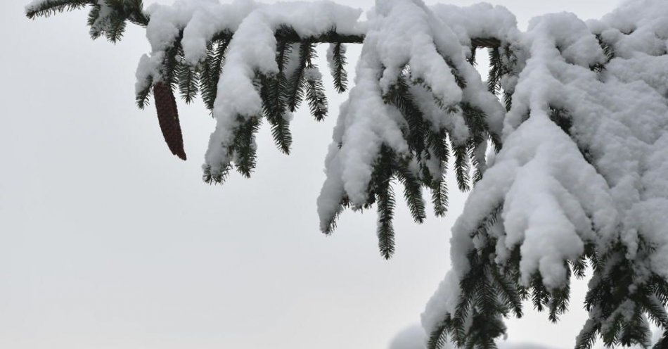 zdjęcie: IMGW wydał ostrzeżenia przed marznącymi opadami, oblodzeniem i intensywnymi opadami śniegu / fot. PAP