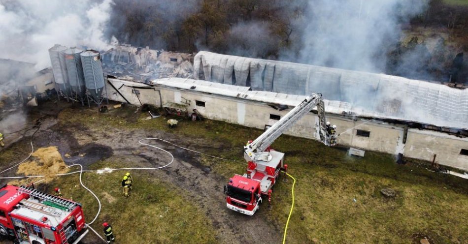 zdjęcie: Duży pożar kurnika w podgorzowskiej Baczynie / fot. PAP