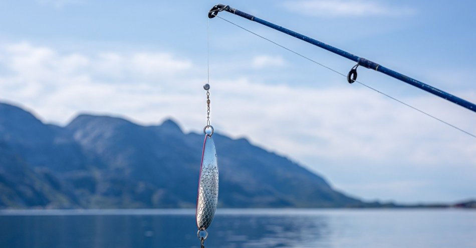 zdjęcie: Jeśli chcesz łowić ryby, zwróć uwagę na przepisy / pixabay/7912504