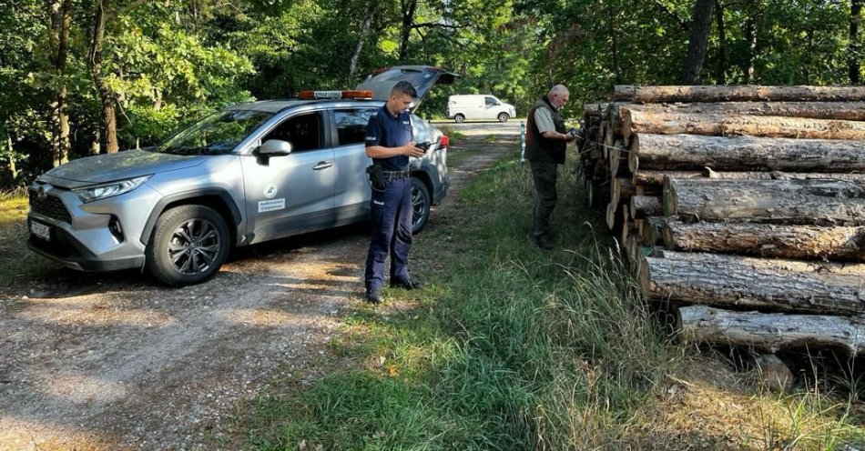 zdjęcie: Policyjni wodniacy pomagają chronić lasy / fot. KMP w Toruniu