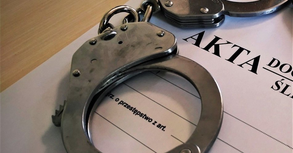zdjęcie: Trzymiesięczny areszt za kradzieże na terenie całego kraju / fot. KPP Augustów