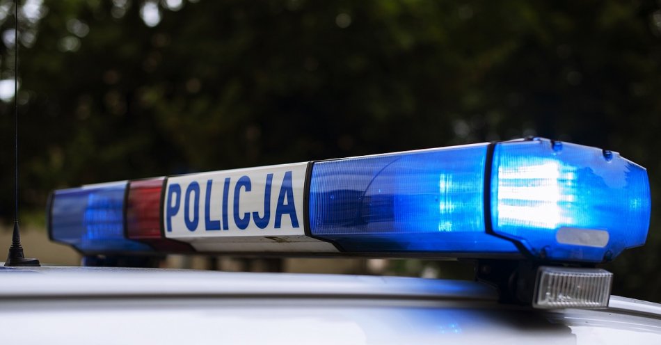 zdjęcie: W okresie Wszystkich Świętych na drogi wyjedzie więcej policyjnych patroli / pixabay/4261182