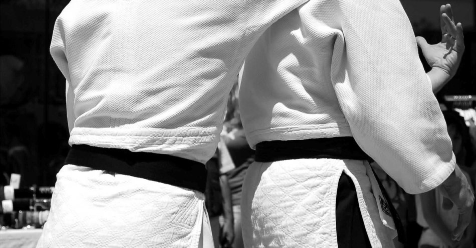zdjęcie: Ruszył proces trenera karate oskarżonego m.in o próbę gwałtu uczennicy / pixabay/116542