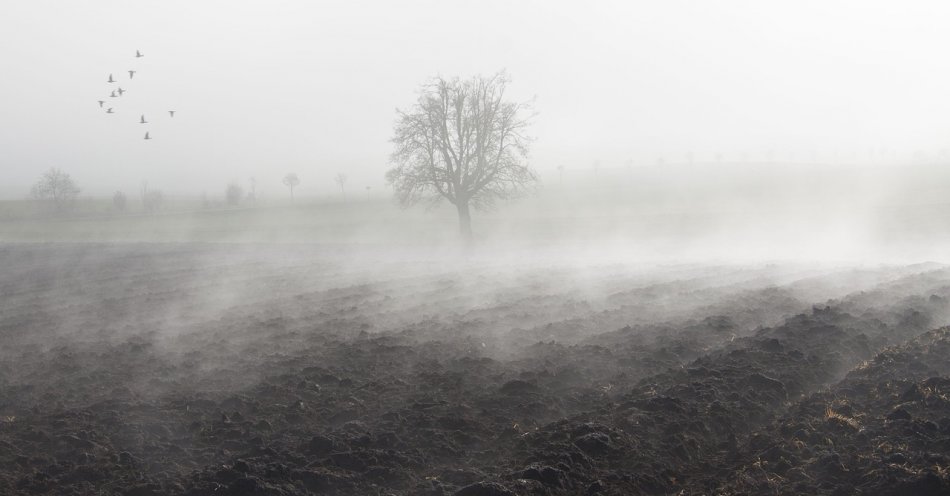 zdjęcie: Gęste mgły w północnej części regionu / pixabay/66271