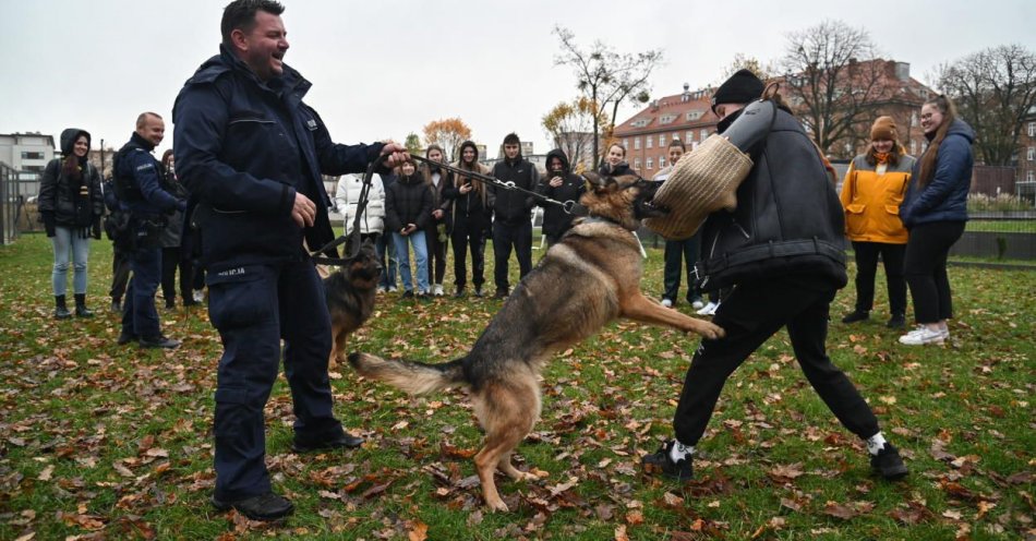 zdjęcie: Policyjne psy na uniwersyteckich zajęciach terenowych w Szczecinie / fot. PAP