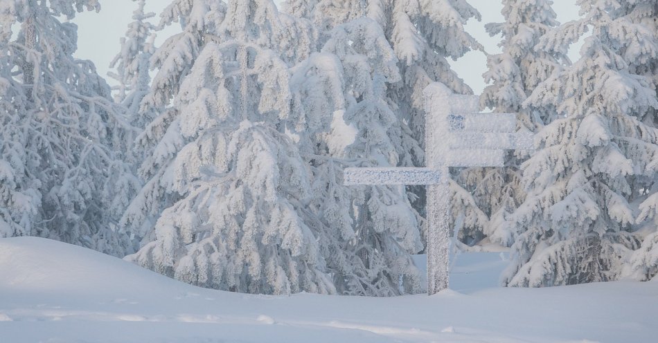 zdjęcie: Śnieżna niedziela z ujemną temperaturą w całej Polsce / pixabay/4831013