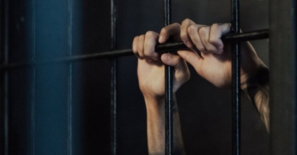 zdjęcie: To, że polityk jest w więzieniu, to nie znaczy, że jest więźniem politycznym (krótka) / pixabay/10475037
