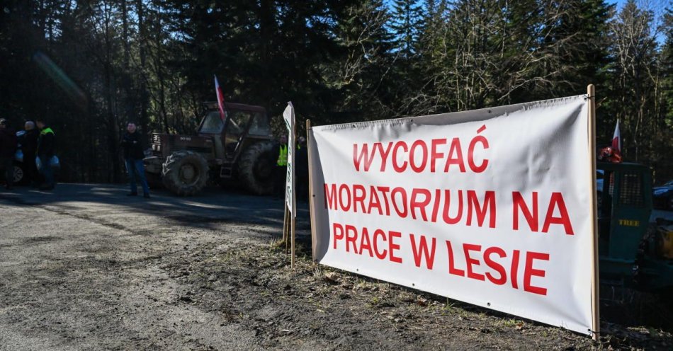 zdjęcie: W Bieszczadach rozpoczął się protest pracowników Zakładów Usług Leśnych (wideo) / fot. PAP