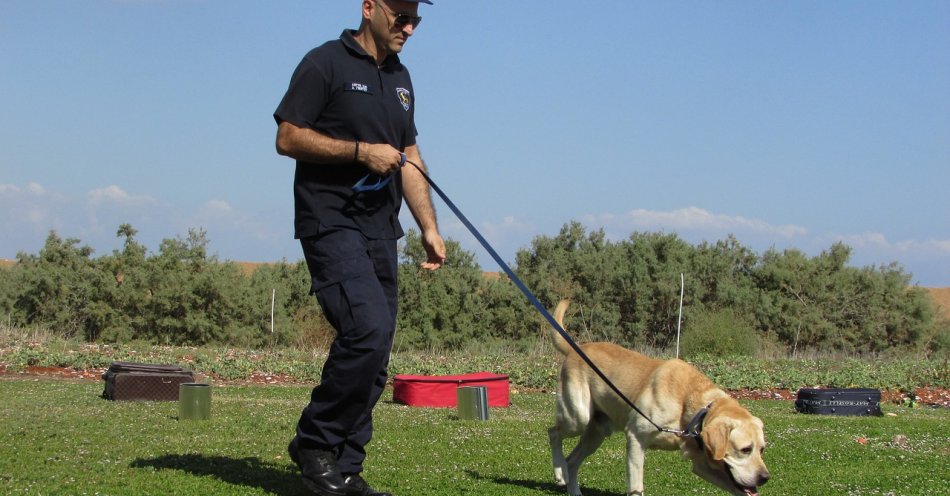zdjęcie: Podczas szkolenia z psami policjanci zatrzymali 16-latka z mefedronem / pixabay/1761874