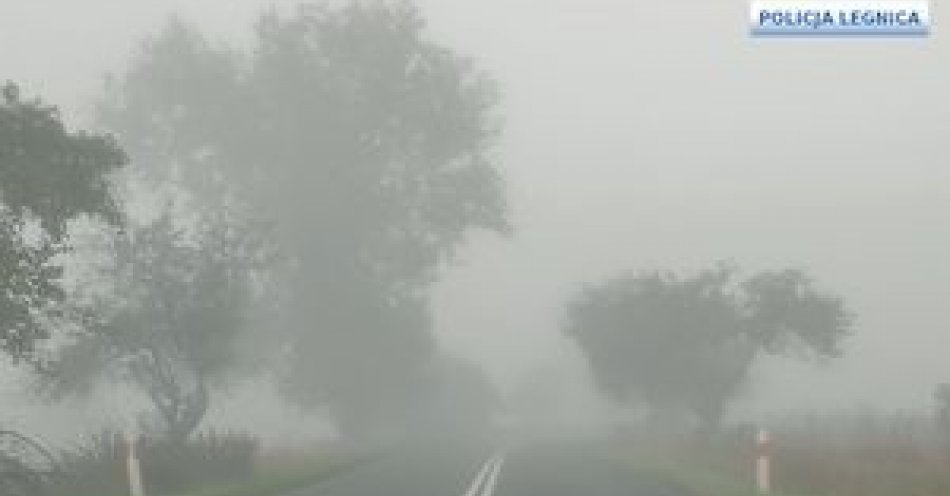 zdjęcie: Poranne mgły-kierowcy uważajcie na drodze! / fot. KMP w Legnicy