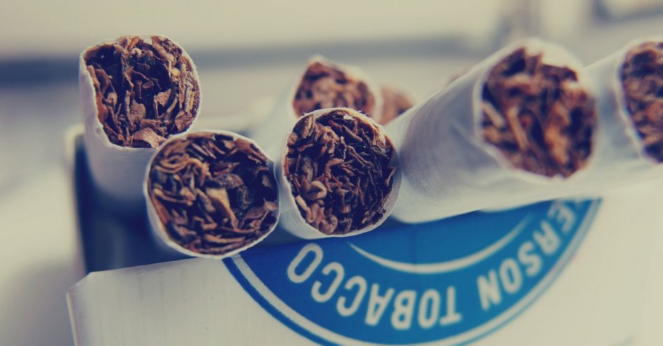 zdjęcie: KAS przechwyciła kontrabandę tytoniową o wartości ponad 200 tys. zł / pixabay/923183