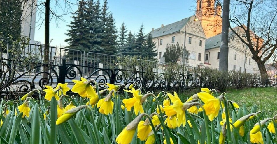 zdjęcie: Lublin szykuje się do wiosny / fot. UM Lublin / Lublin szykuje się do wiosny