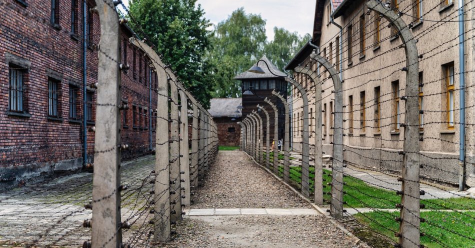 zdjęcie: Otwarto wystawę poświęconą Stanisławie Leszczyńskiej - położnej z Auschwitz / pixabay/7432546