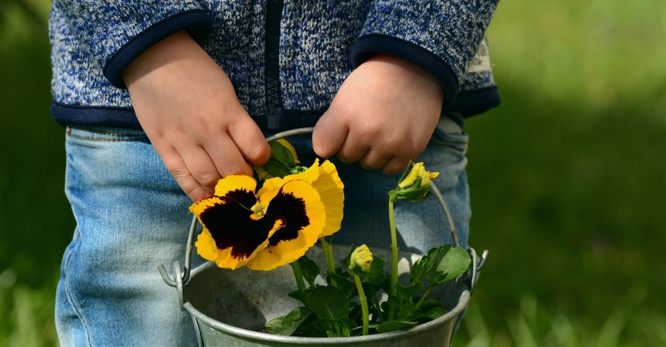 zdjęcie: Dzieci powitają wiosnę przed Ratuszem / pixabay/2173208