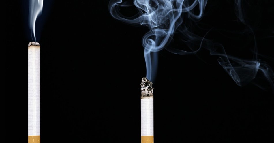zdjęcie: Rozbity gang produkujący nielegalne papierosy; przejęto 29 ton tytoniu / pixabay/1166670