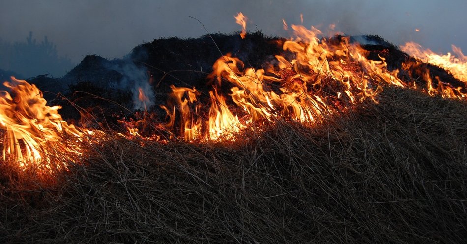 zdjęcie: Pożar traw na Połoninie Caryńskiej / pixabay/785654
