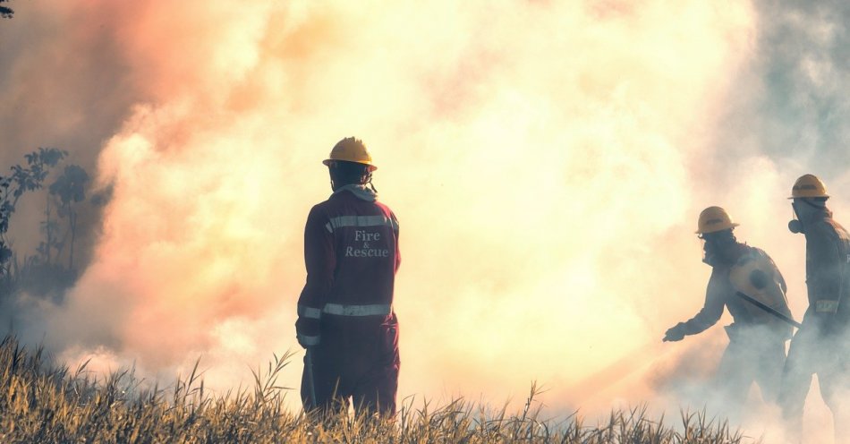 zdjęcie: Straty po pożarze na Połoninie Caryńskiej / pixabay/7692815