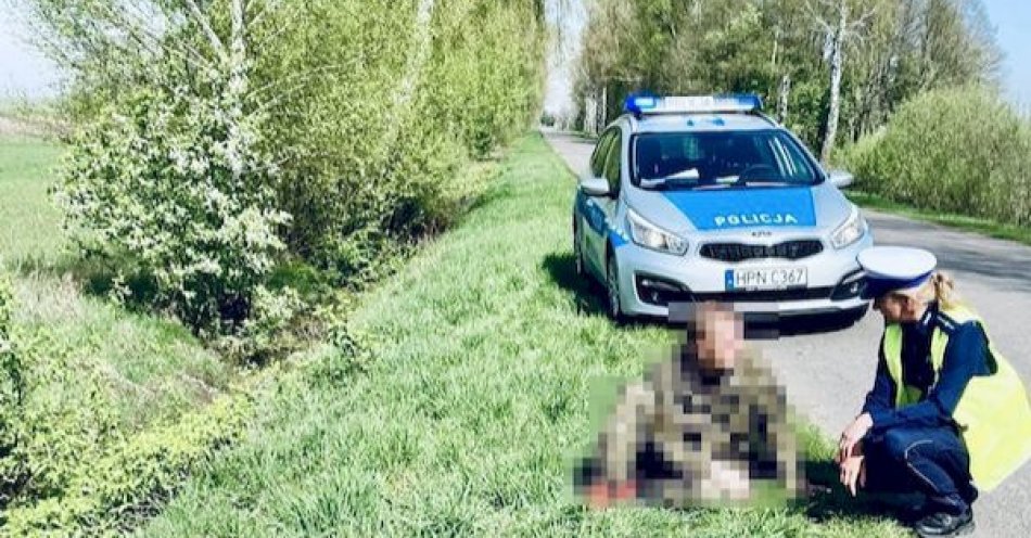 zdjęcie: Nasi na Podlasiu. Pijany rowerzysta zatrzymany przez policjantów słupskiej drogówki. / fot. KMP w Słupsku