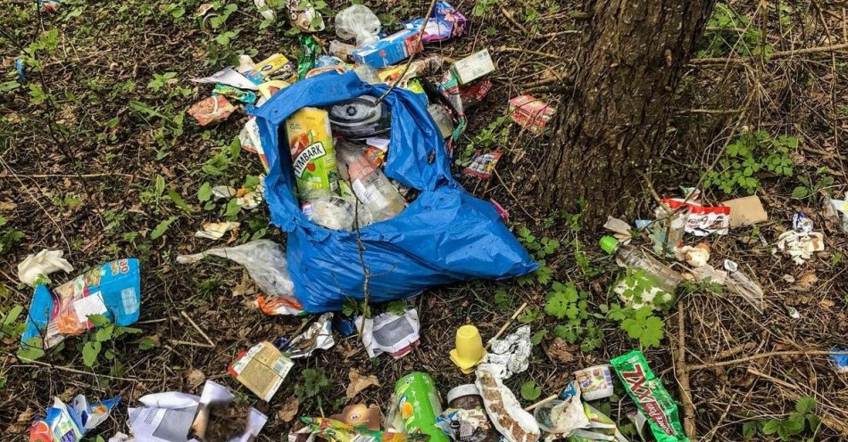 zdjęcie: Wyrzuciła śmieci do lasu- dostała mandat i musiała posprzątać / fot. KPP Augustów