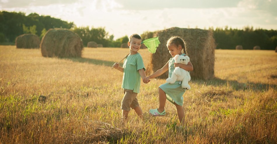 zdjęcie: Turnusy rehabilitacyjne dla dzieci rolników ubezpieczonych w Krus / pixabay/6521604