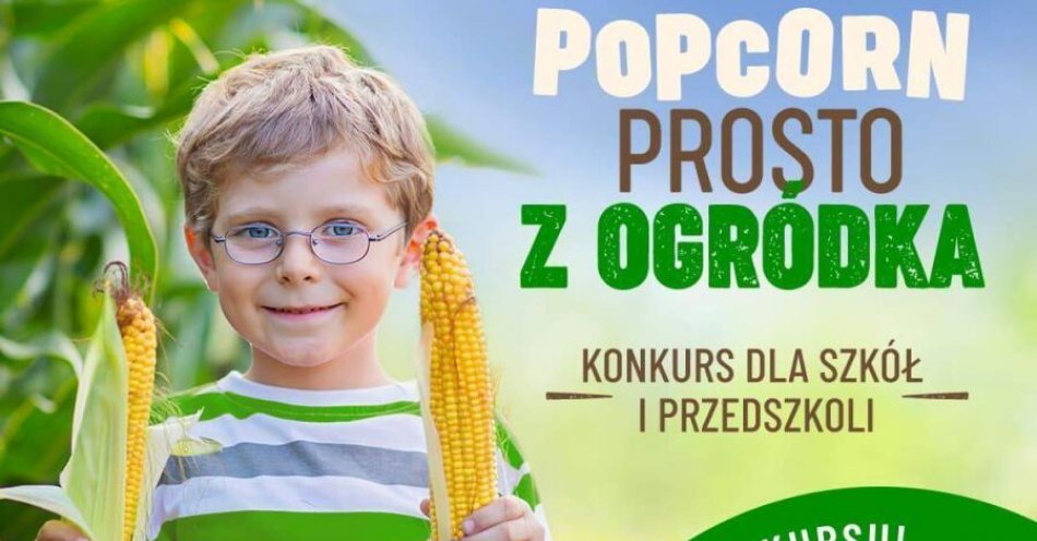 zdjęcie: Dołącz do akcji Popcorn prosto z ogródka / fot. UM Kraków / Fot. materiały prasowe