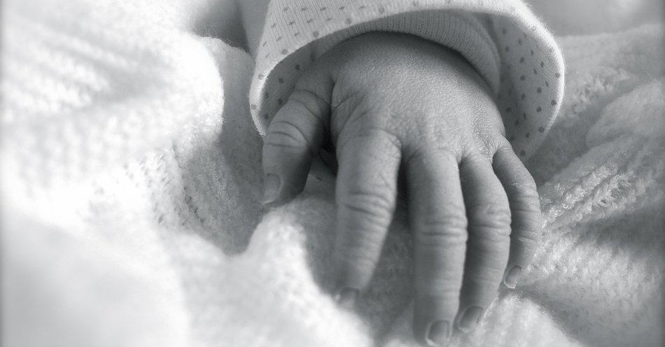 zdjęcie: Śledztwo ws. śmierci noworodka w szpitalu w Kościerzynie / pixabay/2386489