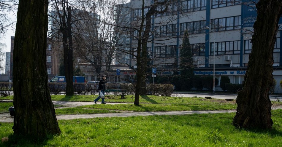 zdjęcie: Nowa zielona przestrzeń w śródmieściu Katowic / fot. nadesłane